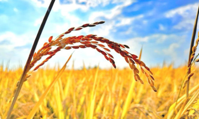 1539420000884019.jpg 微信圖片_20181013163936.jpg